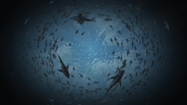 deep sea and herd of sharks circling