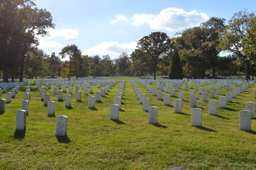 Autumn colors at the beautiful Arlington National Cemetary in Washington, United States