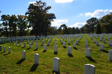 Autumn colors at the beautiful Arlington National Cemetary in Washington, United States