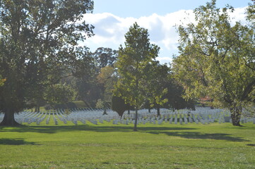 Autumn colors at the beautiful Arlington National Cemetary in Washington, United States