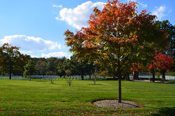 Fototapeta na wymiar Autumn colors at the beautiful Arlington National Cemetary in Washington, United States