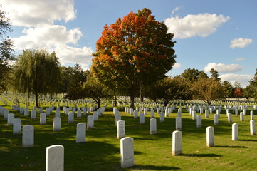 Autumn colors at the beautiful Arlington National Cemetary in Washington, United States