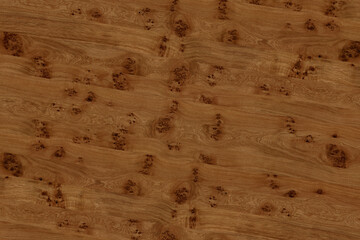 brown oak tree wood wallpaper structure texture background