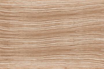  wood surface tree timber background texture structure backdrop