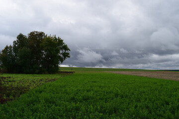 clouds over the field