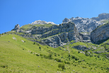 Fototapeta na wymiar randonné près du col de la Forclaz, Annecy, Savoie , France