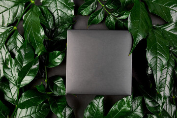 Mockup for black gift box a dark background with green leaves