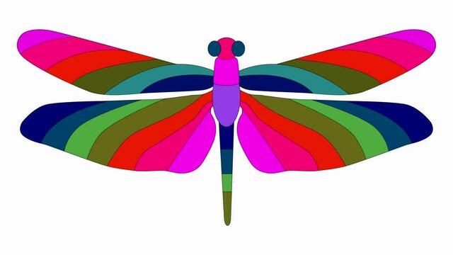Dragonfly top view changes 7 colors video