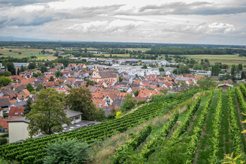 Weinberg Riegel am Kaiserstuhl Emmendingen Baden-Württemberg 
