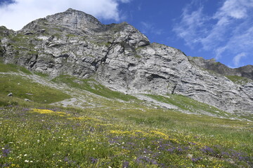 Savoie, col de l'Arpetaz