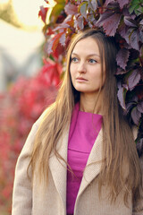 young beautiful woman in a pink knitted sweater looks to the side, against the background of wild grapes. Autumn portrait.