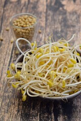 Soybean sprouts in a bowl on wooden background