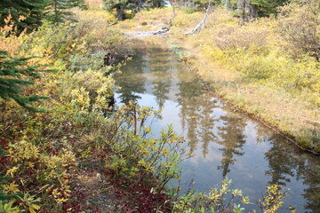 Autumn By The Bow Creek, Banff National Park, Alberta