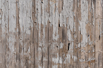 texture of a grungy wooden wall as backdrop
