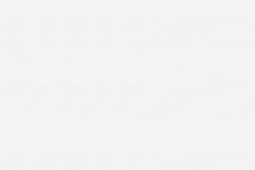 white beech wooden background texture structure backdrop