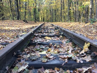 railway in autumn