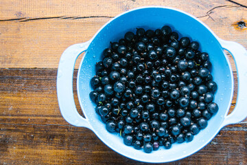 black currants in a blue cup on a background of wooden boards