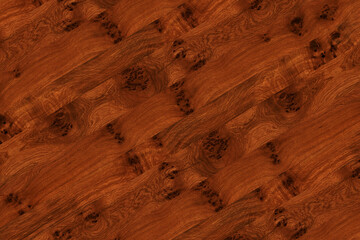 brown oak tree wood wallpaper structure texture background