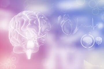 Human brain, brain development concept - highly detailed electronic texture or background, medical 3D illustration