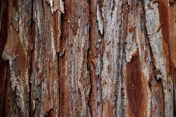 old vintage rustic grunge wood surface