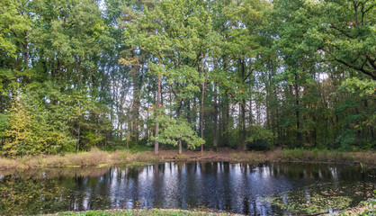 Little lake in Appelbergen nature reserve near Groningen, Netherlands