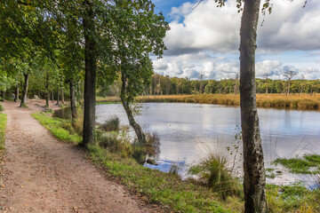 Walking path along the lake in nature reserve Appelbergen, Netherlands