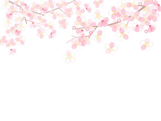 Obraz na płótnie Canvas 桜のフレーム
