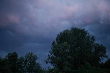 Dark stormy sky and heavy clouds over trees blown by the wind