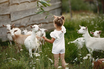 Family spends time on vacation in the village. Child playing in nature. People walk in the fresh...