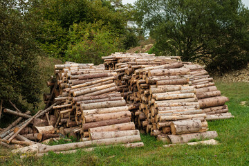 Fortswirtschaft: Mehrere Haufen mit gestapeltem Holz / Brennholz auf einem Holzplatz