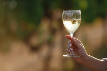 Vintner woman tasting white wine from a glass in a vineyard.