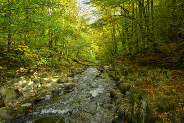 Lehrpfad Heinrich Cotta Thüringen