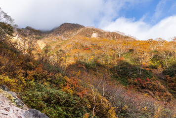 紅葉の妙高山登山道