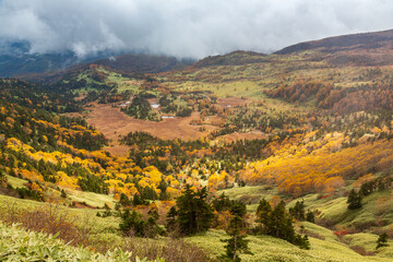 Naklejka premium 渋峠から紅葉の芳ヶ平