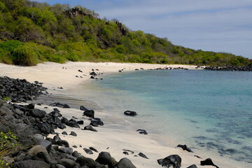 Ecuador Galapagos Islands - San Cristobal Island Scenic Beach Baquerizo - Playa Baquerizo