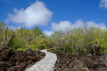 Ecuador Galapagos Islands - San Cristobal Island Hiking path to Viewpoint Mirador Cerro Tijeretas