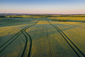 Fototapeta na wymiar Drone shot of an agricultural field at sunset, Skanderborg, Denmark.
