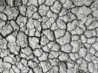 Full frame shot of dry land, dry cracked dirt ground.  Top view of dry cracked dirt.