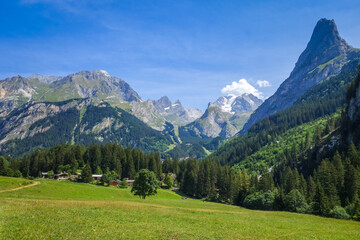 Mountain and pastures landscape in French alps