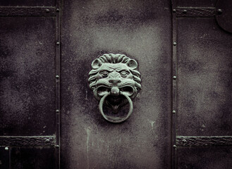lion's head is made of metal. Iron door handle in  form of  predatory animal with  ring. Building...