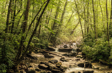  Forest stream flows down over the rock in smoky mountains national park