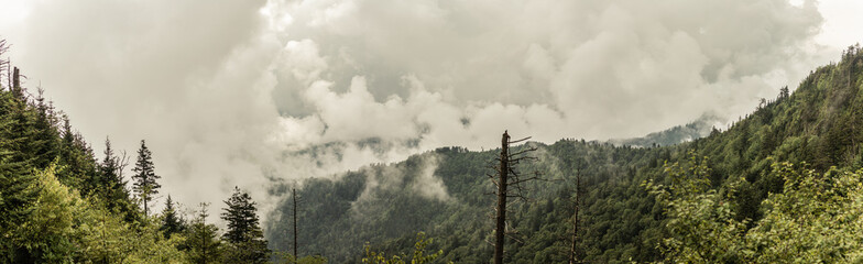 Panorama view of forest hills in smoky mountains national park in cloudy weather
