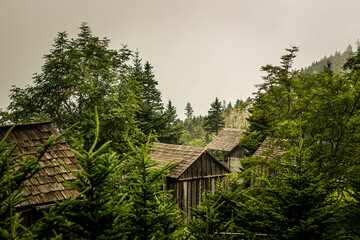 Wooden cabins situated between trees in smoky mountain national park