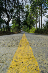 carretera de cemento en la naturaleza con una linea amarilla rodeado de arboles