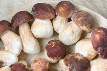 Freshly picked boletus mushrooms on a wooden platter. Mushrooms background.
