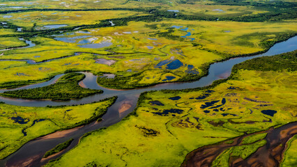 Fototapeta na wymiar Kamchatka. green landscape Avacha river aerial photography