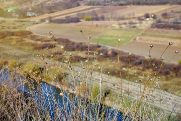 Thickets of dry grass on blurred background of river and agricultural fields. Autumn natural landscape. Seasonal photo. Selective focus.