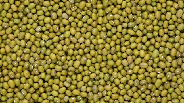 Asian beans, rotation. Mung bean  - background.