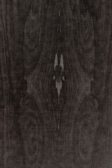 grey wood grain tree timber texture structure backdrop