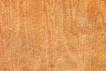 old grunge wood texture structure backdrop